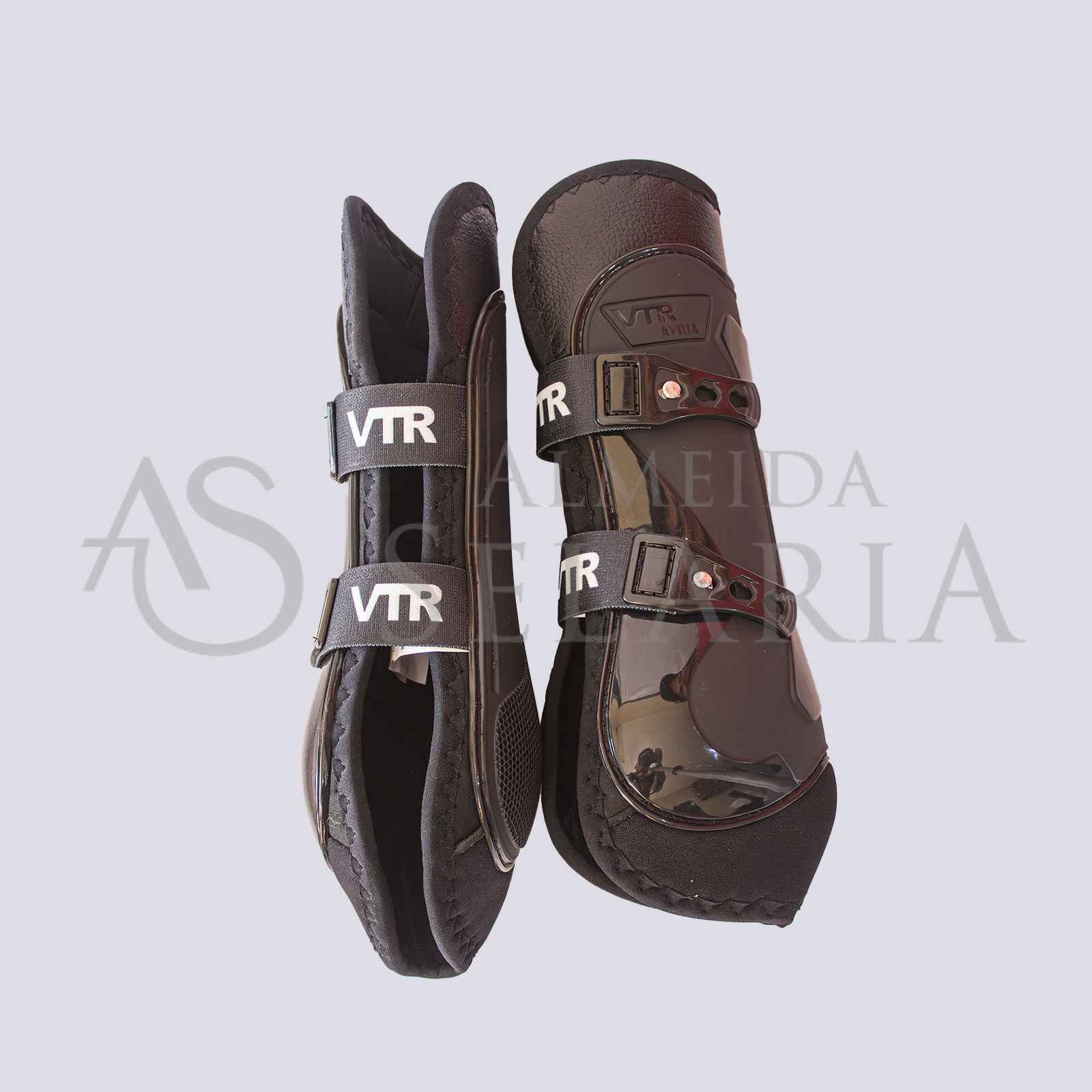 CANELEIRA ARTIA ALTA PINO - VTR - Imagem 2