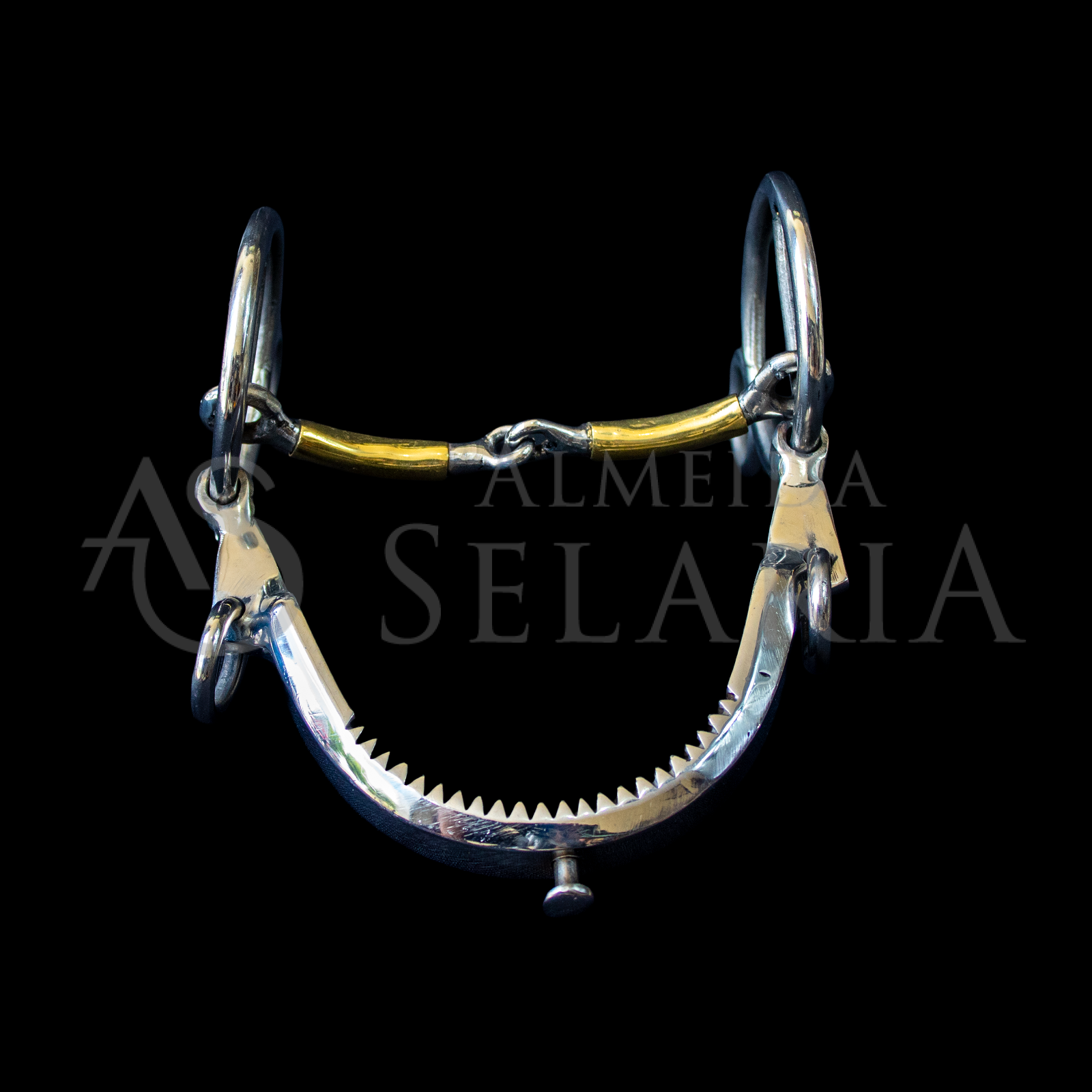 ARREIO DE DOMA - Imagem 4