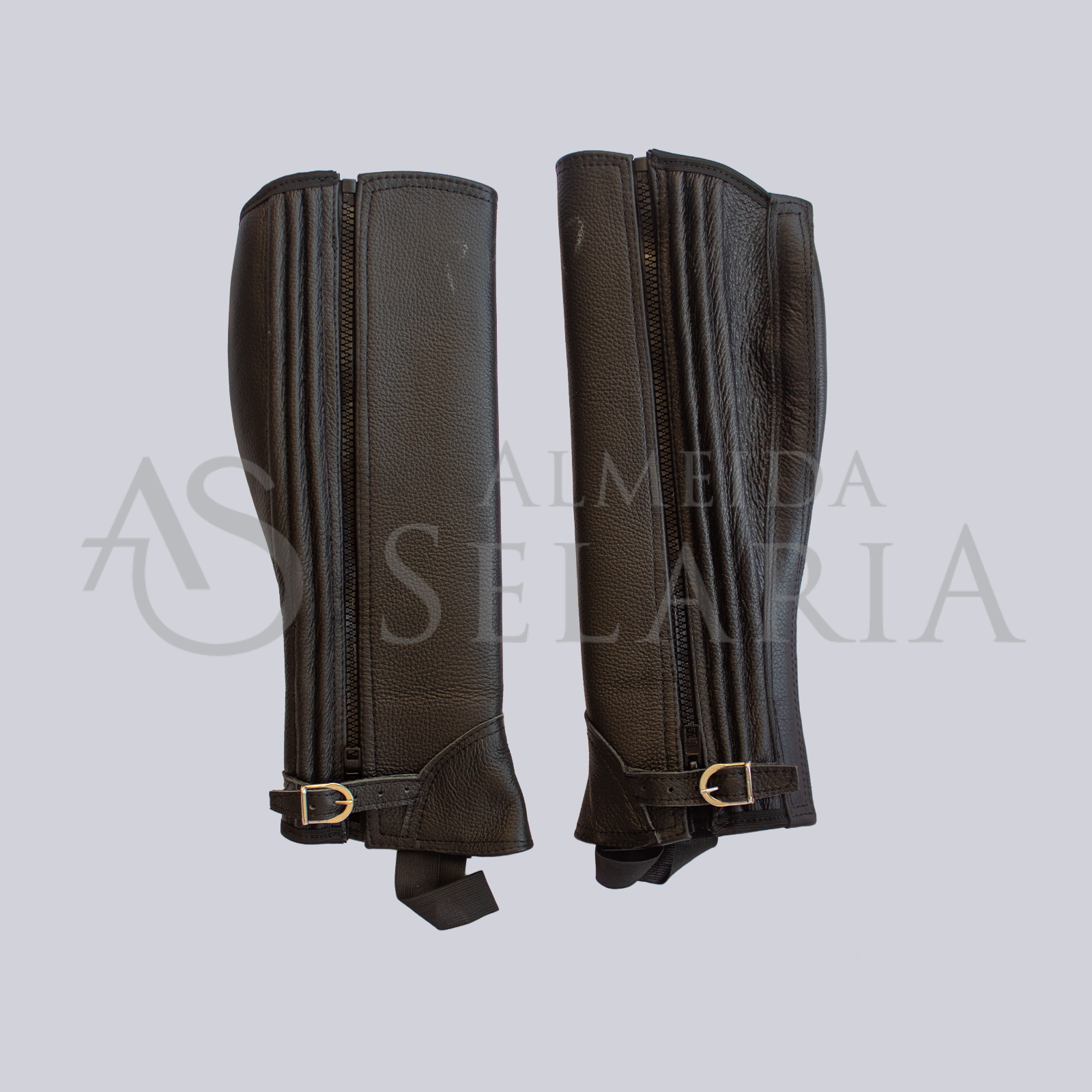 CANELEIRA VAQUEIRO - VAQUETA - Imagem 3