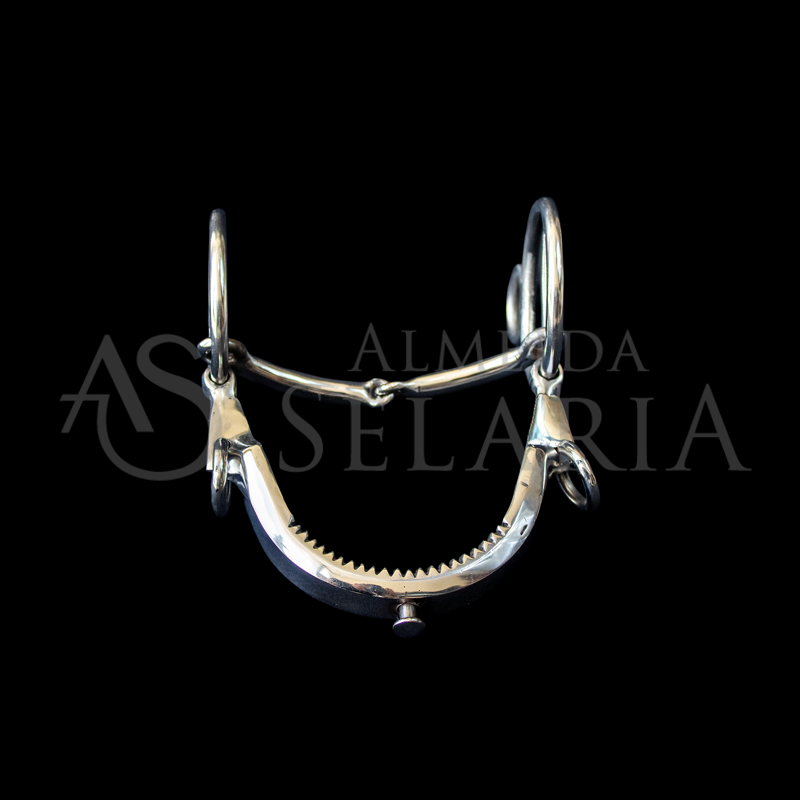 ARREIO DE DOMA - Imagem 2