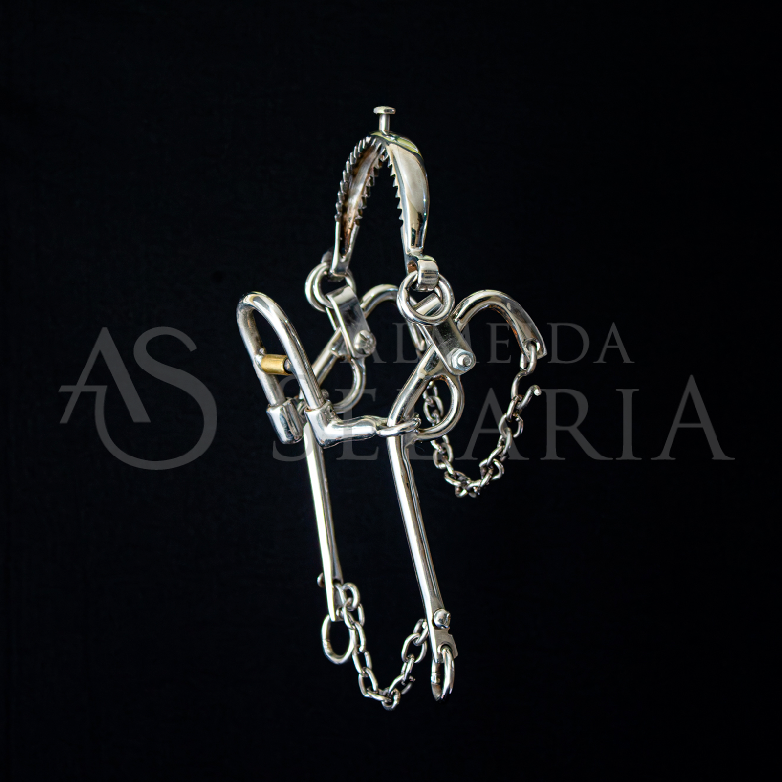 ESTROVENGA ( CONJUGADA ) - Imagem 5