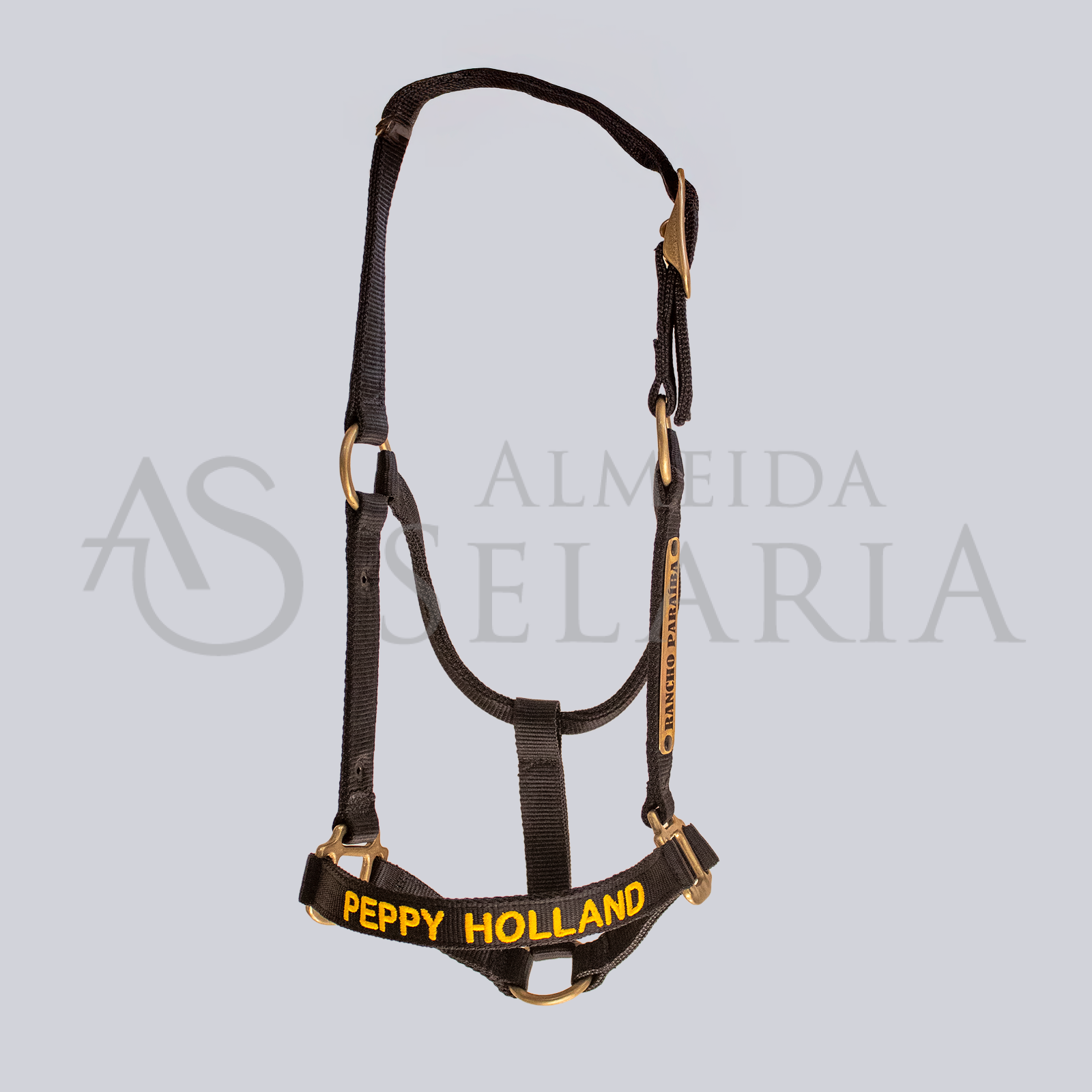 CABRESTO FERRAGEM DOURADA - 2 PLACAS - Imagem 2