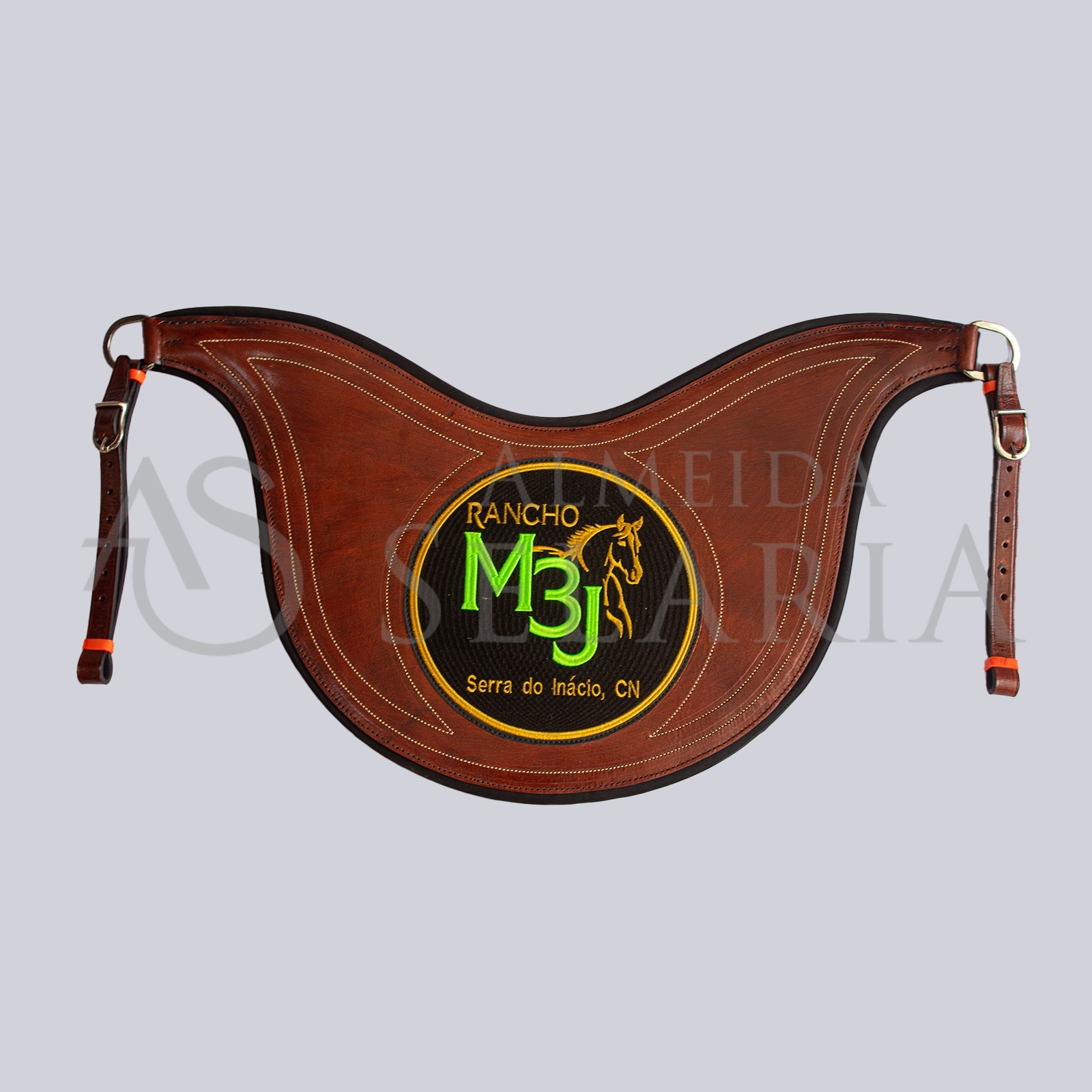 PEITORAL DE ESTEIRA - PERSONALIZAVEL - Imagem 4