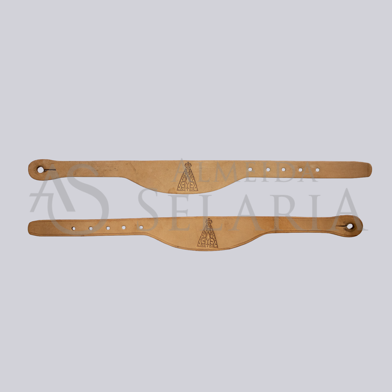 CORREIA DE ESPORA - SANTA