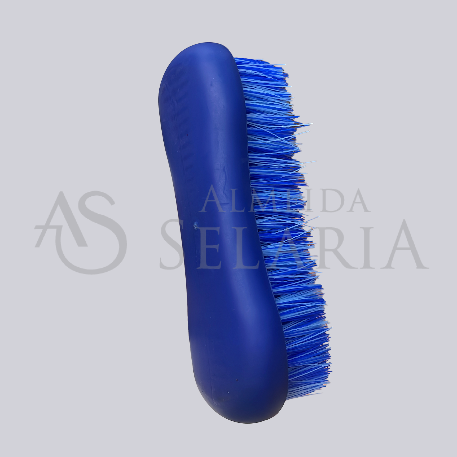 ESCOVÃO DE CAVALO - ANATOMICA