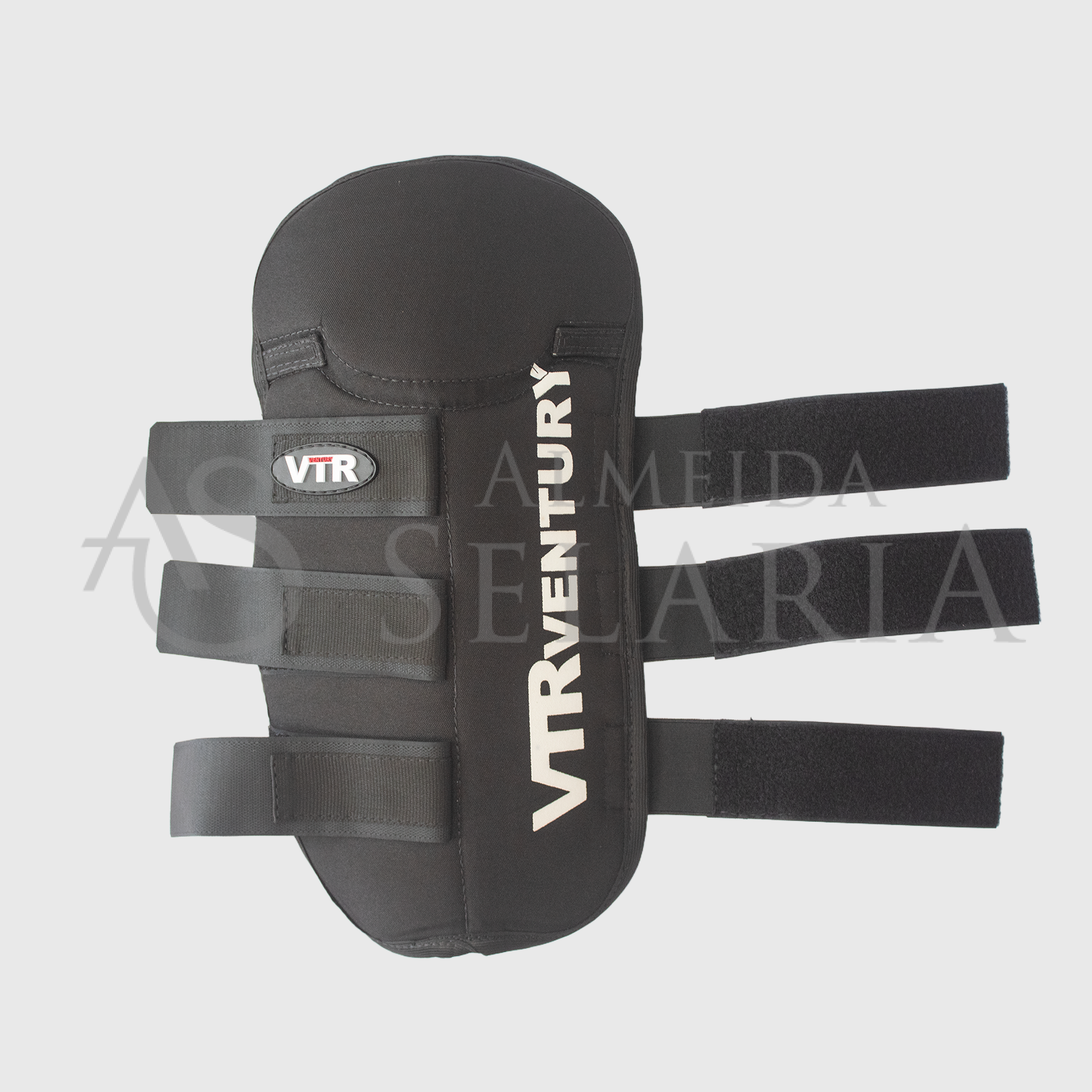 CANELEIRA VAQUEIRO - VTR - Imagem 2