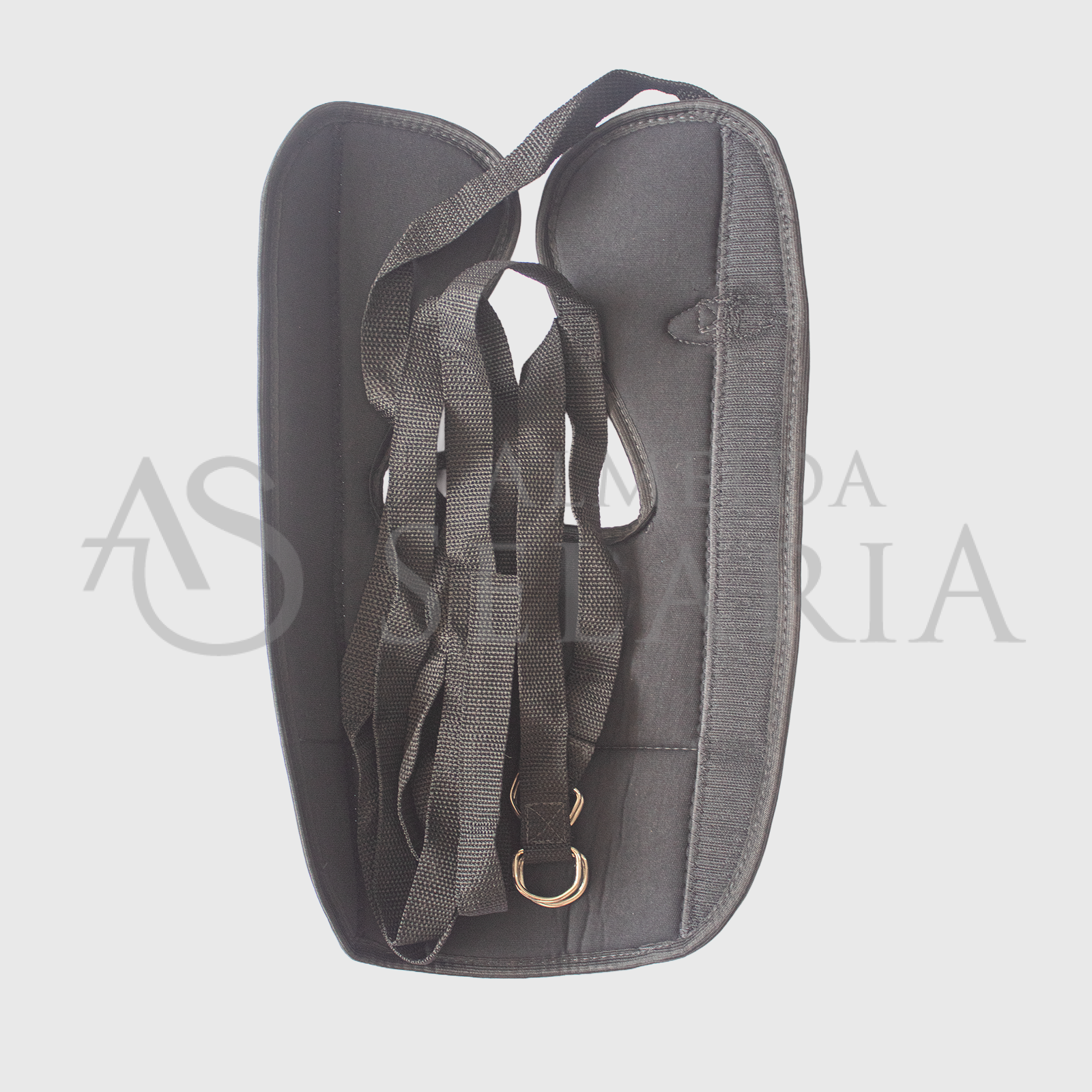 RABEIRA - SCPRO - Imagem 2