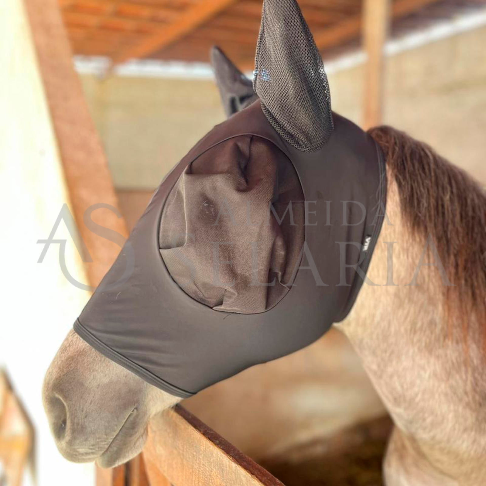 MASCARA DE MOSCA - VTR