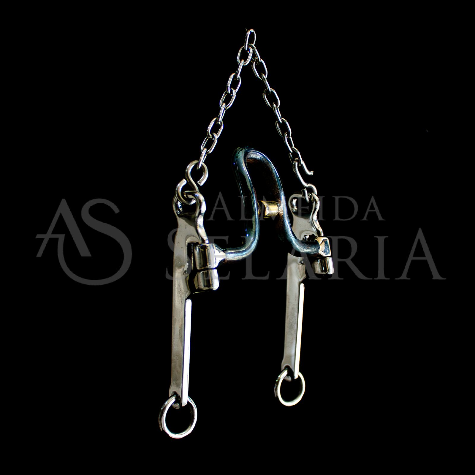 BRIDIA CEARENSE (BOCAL BOB ESPONJA) - Imagem 2