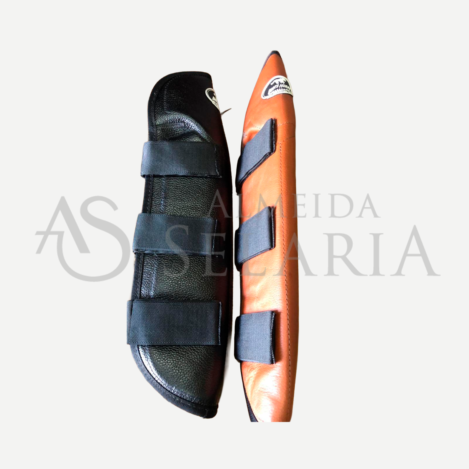 CANELEIRA VAQUEIRO - BOOST HORSE