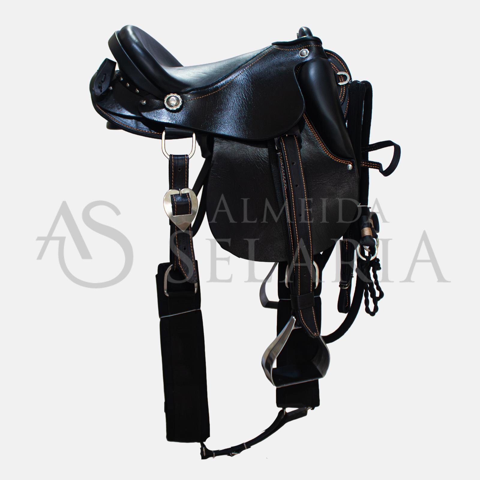 SELA AUSTRALIANA- PISTA DNA ANDRADE (78986444185503)